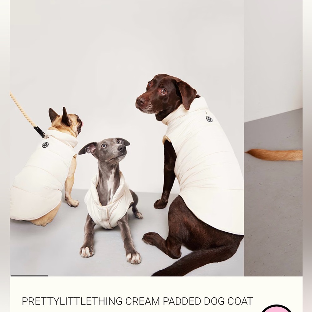 PrettyLittleThing Cream Dog Vest